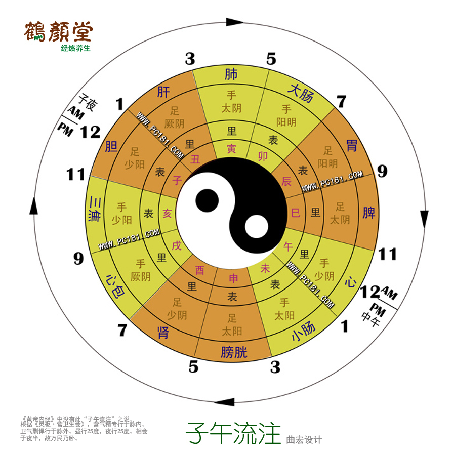 雷电电摩与子午流注